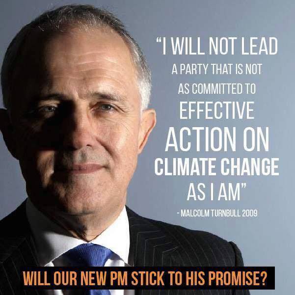 Turnbull's 
Promise