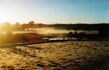 Sun shining through mist, 'Elysium', Armagh, Clare Valley, 
S. Australia