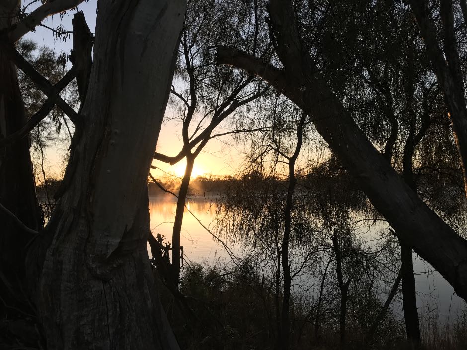 Early morning on the Murray