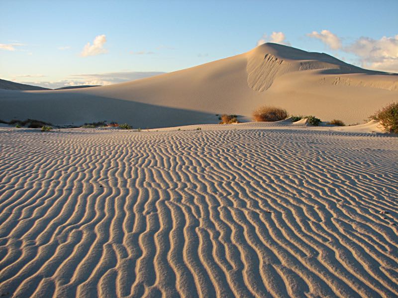 Eucla sand dunes