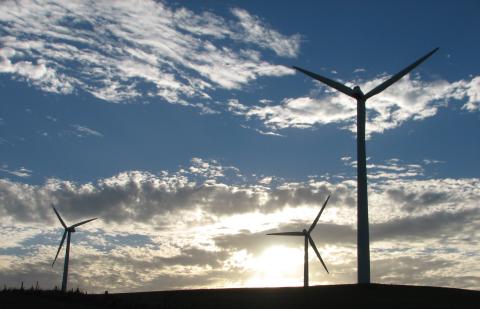 Wind turbines at Starfish Hill, SA.