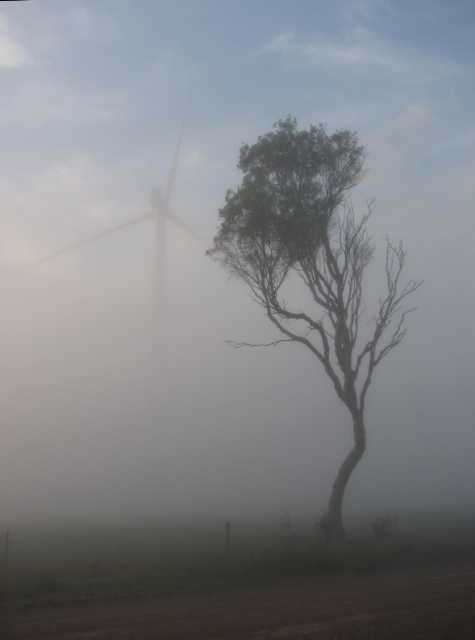 Turbine in mist