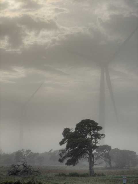 Turbines in mist