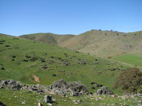 General view of Mount Bryan 
area