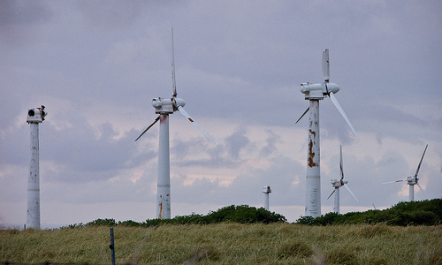 Derelict wind turbines