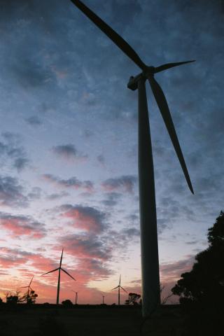 Wind turbines at Wattle Point, Yorke Peninsula