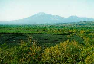 Baluran National Park