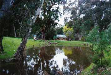 Curnow's Hut, Bundaleer Forest, S. Australia