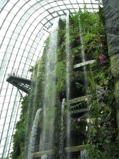 Cloud Forest waterfall