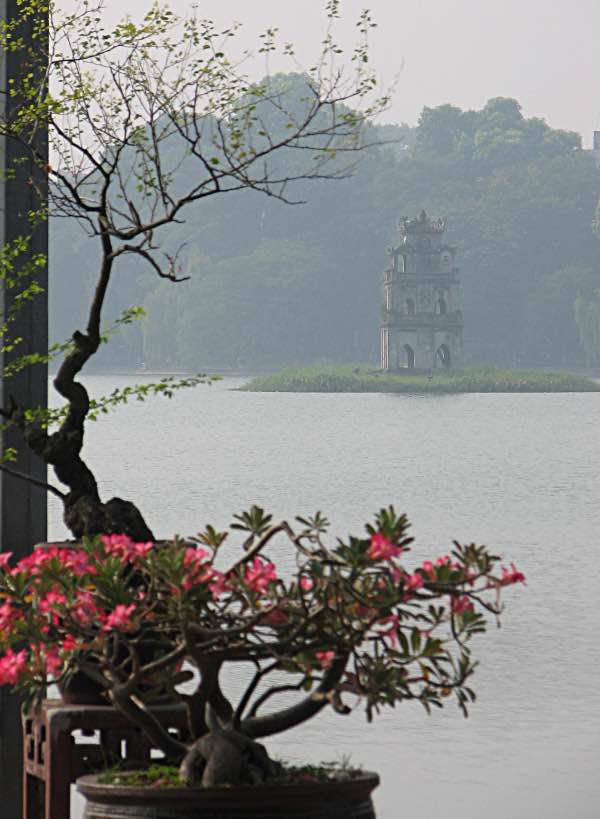 Bonsai, pagoda and lake
