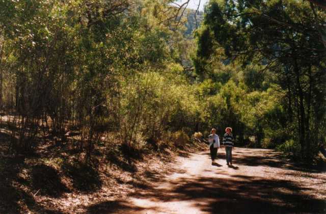 The road up Wilpena Creek