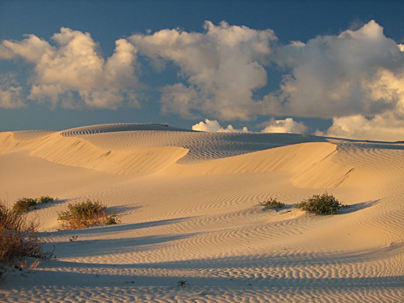 Eucla sand dunes