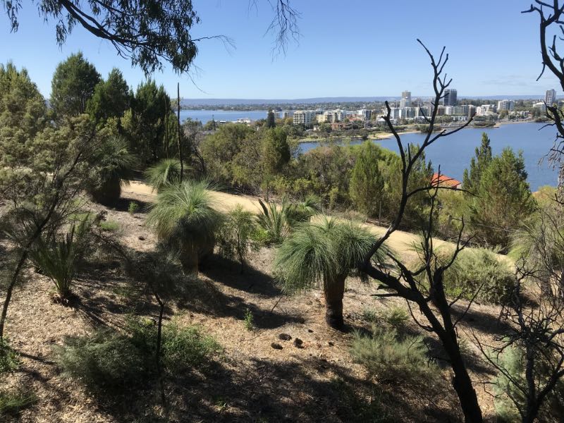 View from Kings Park over South Perth