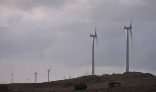 Codrington turbines