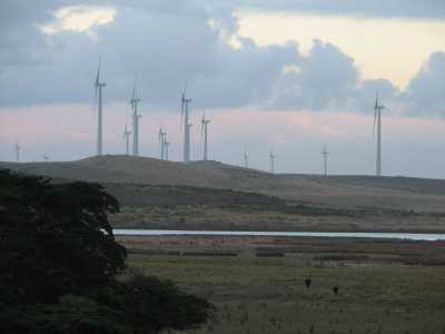 Yambuk turbines