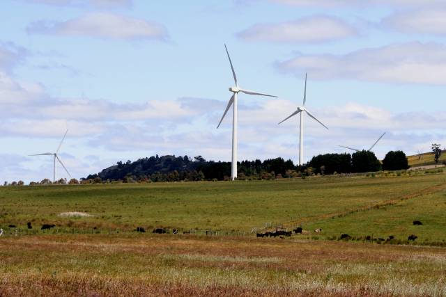 Waubra turbines
