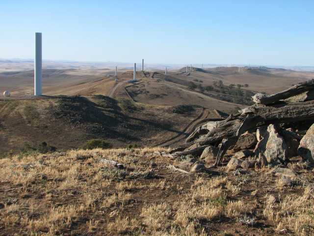 Turbine stumps and old tree