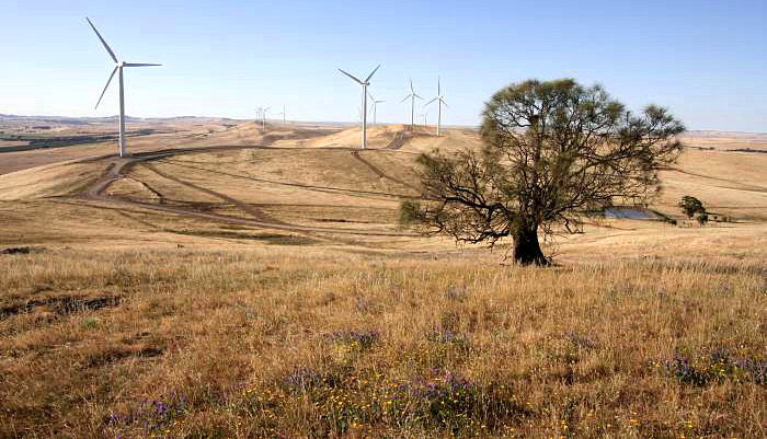 Hallett Hill Wind Farm
