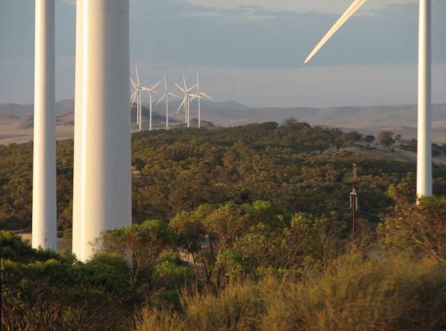Waterloo Wind Farm, 
Australia