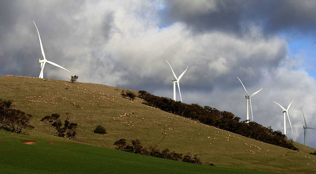 Wind turbines and sheep