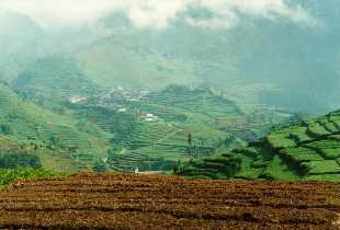 On the Dieng Plateau