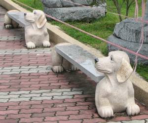 Dog bench