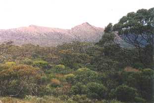 The Iron Duke mine, Middleback Ranges, S. Australia
