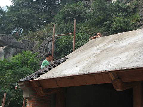 Fake roof